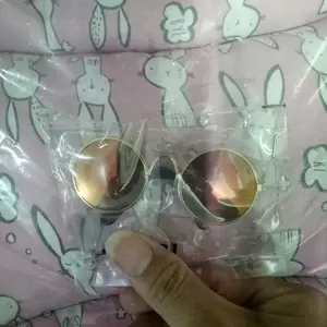 kaca mata anjing chihuahua