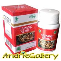 Gambar Ekstrak Sarang Semut Asli Papua dari Andrie Gallery Kota Depok 3 Tokopedia