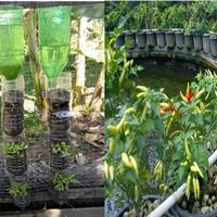 Gambar GRAB/GOJEK Media tanam Siap Pakai 5kg pupuk organik hidroponik pot dari Sumber Rejeki Karang Lewas Kab. Banyumas 5 Tokopedia