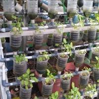 Gambar GRAB/GOJEK Media tanam Siap Pakai 5kg pupuk organik hidroponik pot dari Sumber Rejeki Karang Lewas Kab. Banyumas 4 Tokopedia