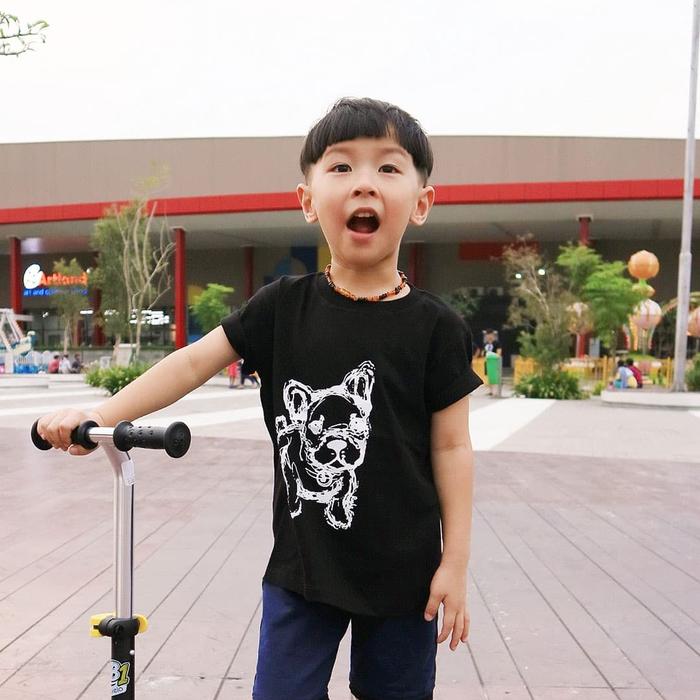 Gambar Kaos Anak - Anak | L072 Pug Tee by Little Jergio - Small dari littlejergio Kota Administrasi Jakarta Barat Tokopedia