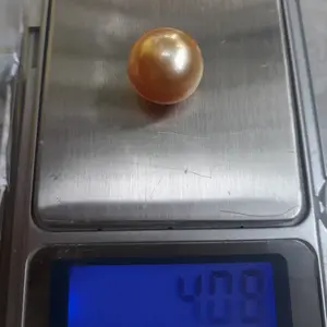 butiran mutiara laut light gold grade A asli lombok berkwalitas