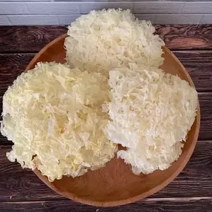 Jamur Putih white Fungus Pek Bok Ni