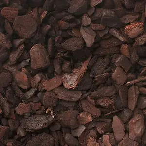 Forest Bark CURAH L - Alas Kandang Reptile