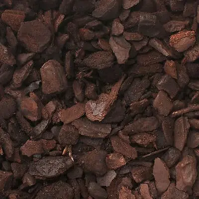 Forest Bark Small - Alas Kandang Reptile Kecil
