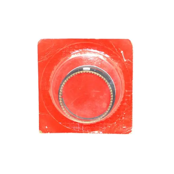 Ring Set Piston (1.00) - Grand & Supra 13015GN5962 0