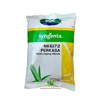Gambar Benih Jagung NK 6172 Perkasa 1 KG Syngenta bibit hibrida dari PUROTANI.ID Kab. Purworejo 1 Tokopedia