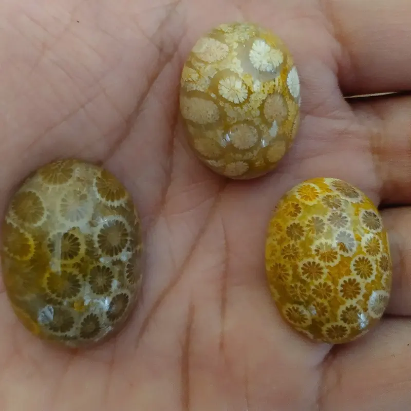 Batu Teratai Sarang Tawon Natural 0