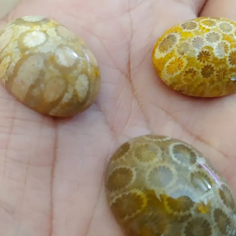 Batu Teratai Sarang Tawon Natural 1