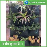 Gambar Wall Garden Planter Bag 12 Kantong Easy Grow Planter Bag Dinding dari Suryaguna Store Kab. Tulungagung 2 Tokopedia
