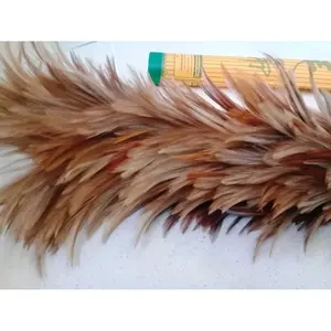Kemoceng Bulu Ayam Jumbo Super Feather Dusters