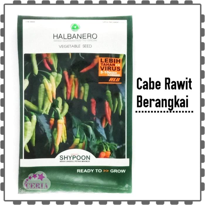 Gambar Benih Cabe Rawit Shypoon Berangkai Terlaris Termurah Original dari Toserba.ceria Kab. Kediri Tokopedia