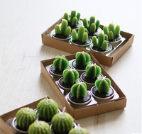 Gambar lilin candle / hadiah sovenir motif kaktus cactus plant tanaman hiasan dari Jual Grosir Online Kota Tangerang 5 Tokopedia