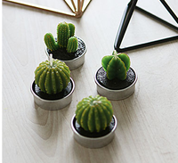 Gambar lilin candle / hadiah sovenir motif kaktus cactus plant tanaman hiasan dari Jual Grosir Online Kota Tangerang 3 Tokopedia