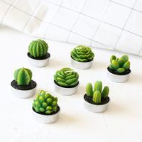 Gambar lilin candle / hadiah sovenir motif kaktus cactus plant tanaman hiasan dari Jual Grosir Online Kota Tangerang 2 Tokopedia