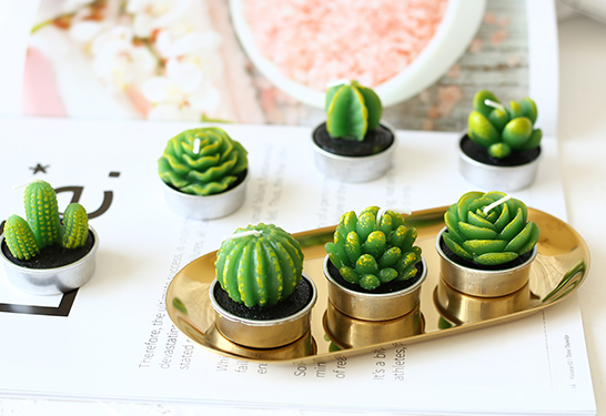 Gambar lilin candle / hadiah sovenir motif kaktus cactus plant tanaman hiasan dari Jual Grosir Online Kota Tangerang Tokopedia