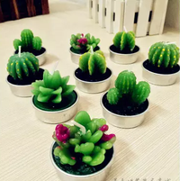 Gambar lilin candle / hadiah sovenir motif kaktus cactus plant tanaman hiasan dari Jual Grosir Online Kota Tangerang 4 Tokopedia