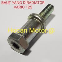 Gambar BAUT DUDUKAN RADIATOR VARIO 125 F1 BEST QUALITY dari hocan mtr Kota Administrasi Jakarta Barat 1 Tokopedia