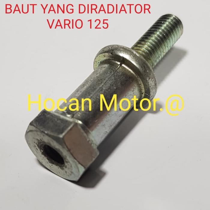 Gambar BAUT DUDUKAN RADIATOR VARIO 125 F1 BEST QUALITY dari hocan mtr Kota Administrasi Jakarta Barat Tokopedia