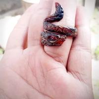 Gambar Cincin Akar Bahar Merah Tembus Cahaya ukir Naga Galakk dari gelang akar bahar Kab. Jember 2 Tokopedia