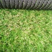 Gambar Rumput sintetis jepang ukuran 30x40 dari warung-tanaman Kab. Bogor 2 Tokopedia