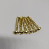 Gambar Screw Tremolo Stratocaster Warna Gold Isi 6 Pcs dari LIFA Music Store Kab. Bandung 4 Tokopedia