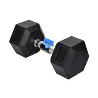 Gambar Berwyn dumbbell karet hexagonal 12.5 kg dari Toko bang ipan9 Kota Tangerang 2 Tokopedia