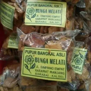 pupur bangkal melati