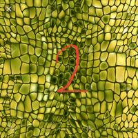 Gambar stiker skotlet camo sisik ular 100x50cm dari zahra asesories Kab. Bandung 2 Tokopedia