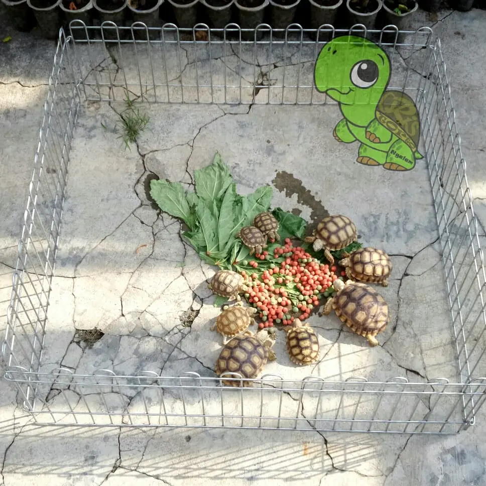 Pagar pet untuk anjing,kucing,kura2 dan kelinci uk.70cmx30cm. Isi 4pcs