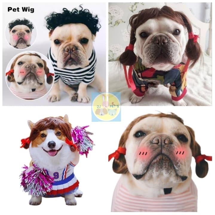 wig anjing dan wig kucing kostum rambut palsu hewan PET4052 4