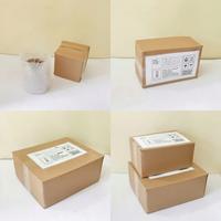 Gambar Christmas Series Pot & Kaktus Cloky Cactus / only planter - Dasher dari Cloky Art Studio Kota Magelang 2 Tokopedia