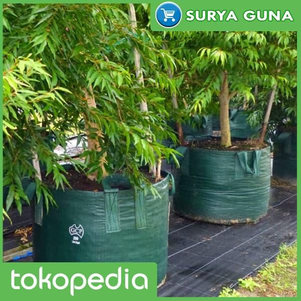 Gambar Planter Bag 200 Liter dari Suryaguna Store Kab. Tulungagung Tokopedia