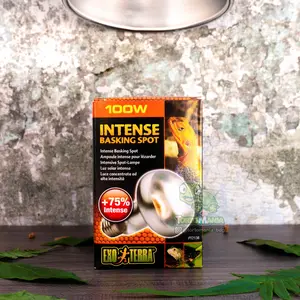 UVA intense 100w exoterra / lampu uva kandang terrarium reptil kura darat / lampu uva sulcata pardalis aldabra dll