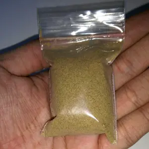 Pakan Burayak CUPANG / GUPPY / DAPHNIA MAGNA (Kutu Air Raksasa) 20GRAM