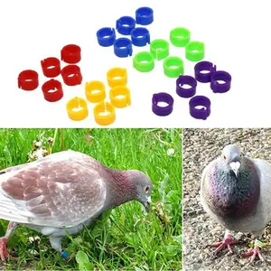 ring burung model klip plastik untuk merpati dara ayam bebek 8mm polos