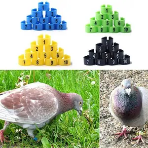 ring burung model klip plastik untuk merpati dara ayam bebek 10mm
