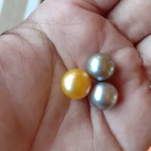 PESANAN BUTURAN MUTIARA LAUT GOLD & ABU