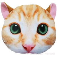Gambar Imut Bantal CAT Kucing 3D dari Jougan Jakarta Selatan 2 Tokopedia