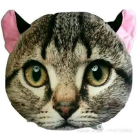 Gambar Imut Bantal CAT Kucing 3D dari Jougan Jakarta Selatan 5 Tokopedia