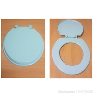 Gambar Tutup Closet / Kloset Duduk - Toilet Seat Cover (Tanpa Baut) - Biru Muda dari Duta Bangunan tokopedia Kota Administrasi Jakarta Utara 1 Tokopedia