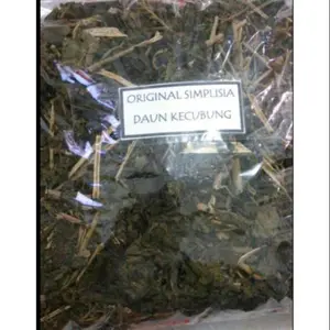 Daun kecubung keispy kering original obat sesak nafas 100 grm