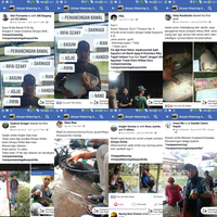 Gambar Umpan Mancing Ikan Mas Essen Oplosan Galatama atau Lomba Para Juara dari Always Strike Kota Tangerang 4 Tokopedia