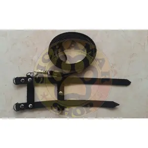 Harnes Sugar Glider / Bajing Kelapa / Biawak