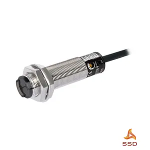 Photoelectric Sensor Autonics BR200-DDTN-P