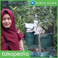 Gambar Planter Bag Sayuran 50 Liter dari Suryaguna Store Kab. Tulungagung 5 Tokopedia