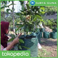Gambar Planter Bag Tanaman Buah 15 Liter dari Suryaguna Store Kab. Tulungagung 2 Tokopedia