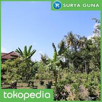 Gambar Planter Bag Sayuran 50 Liter dari Suryaguna Store Kab. Tulungagung 3 Tokopedia