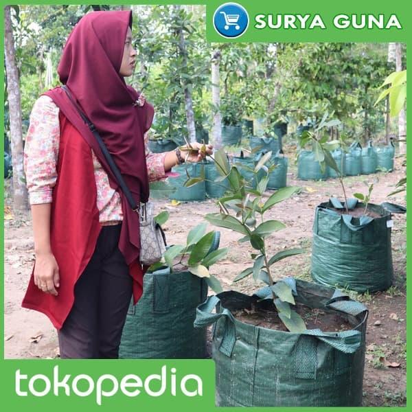 Gambar Planter Bag Tanaman Buah 15 Liter dari Suryaguna Store Kab. Tulungagung Tokopedia