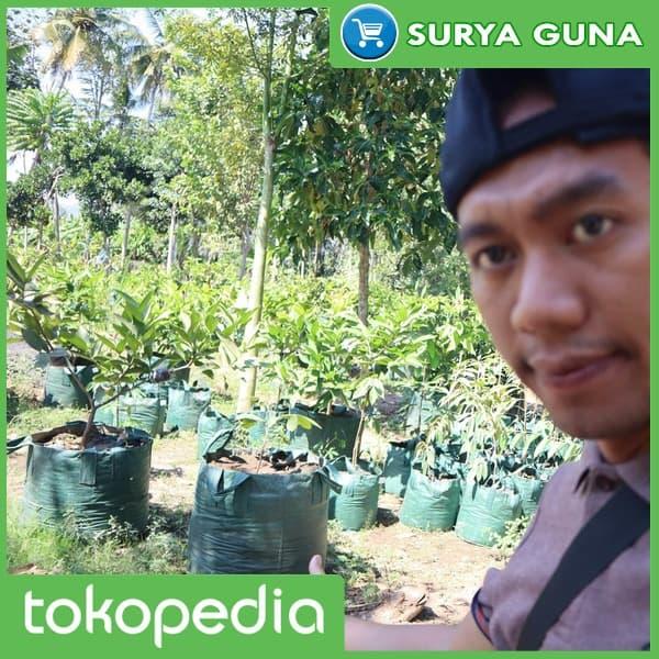 Gambar Planter Bag Durian 100 Liter dari Suryaguna Store Kab. Tulungagung Tokopedia